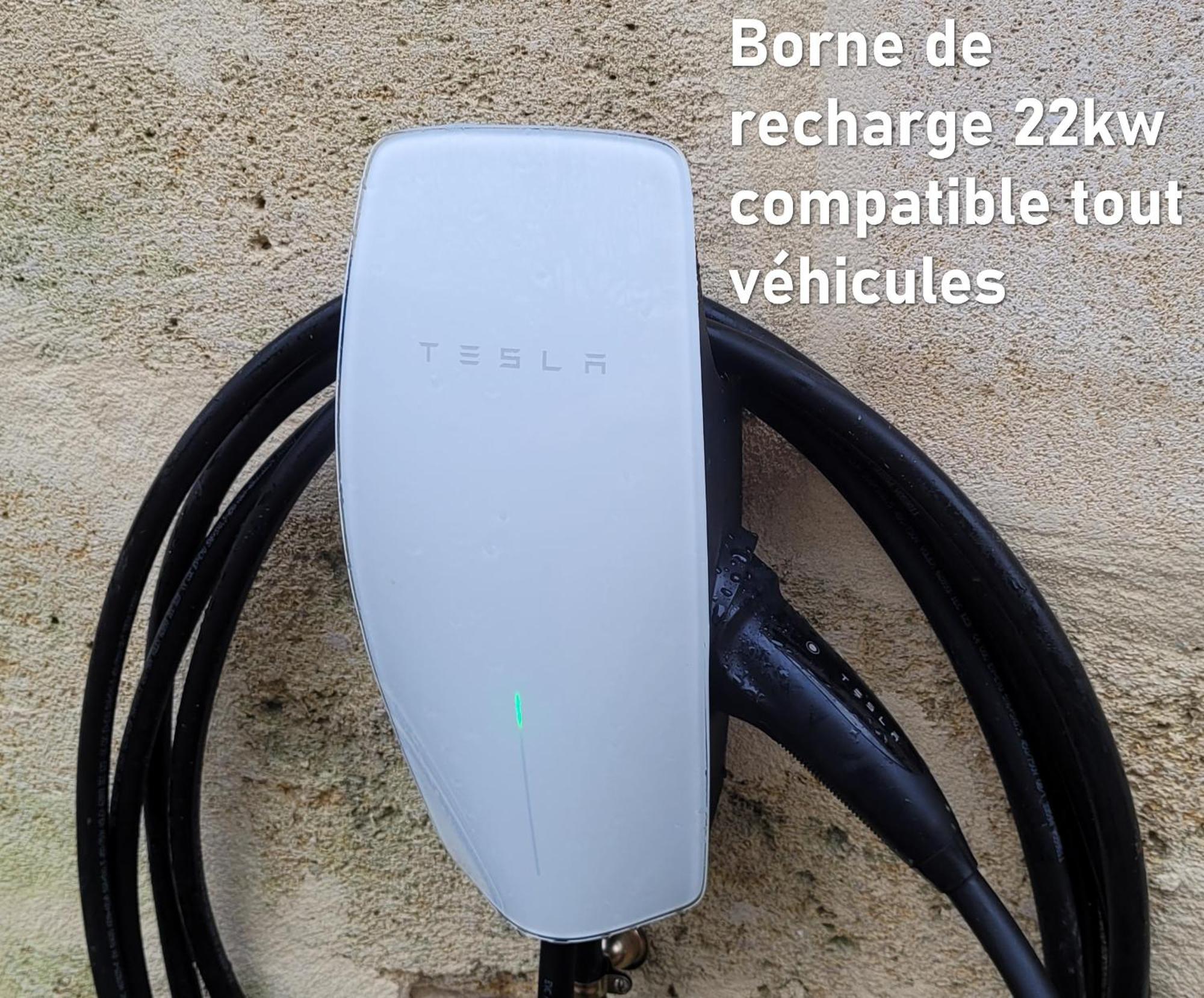 Au Do'Mayne des Bouilles Lussac  Extérieur photo